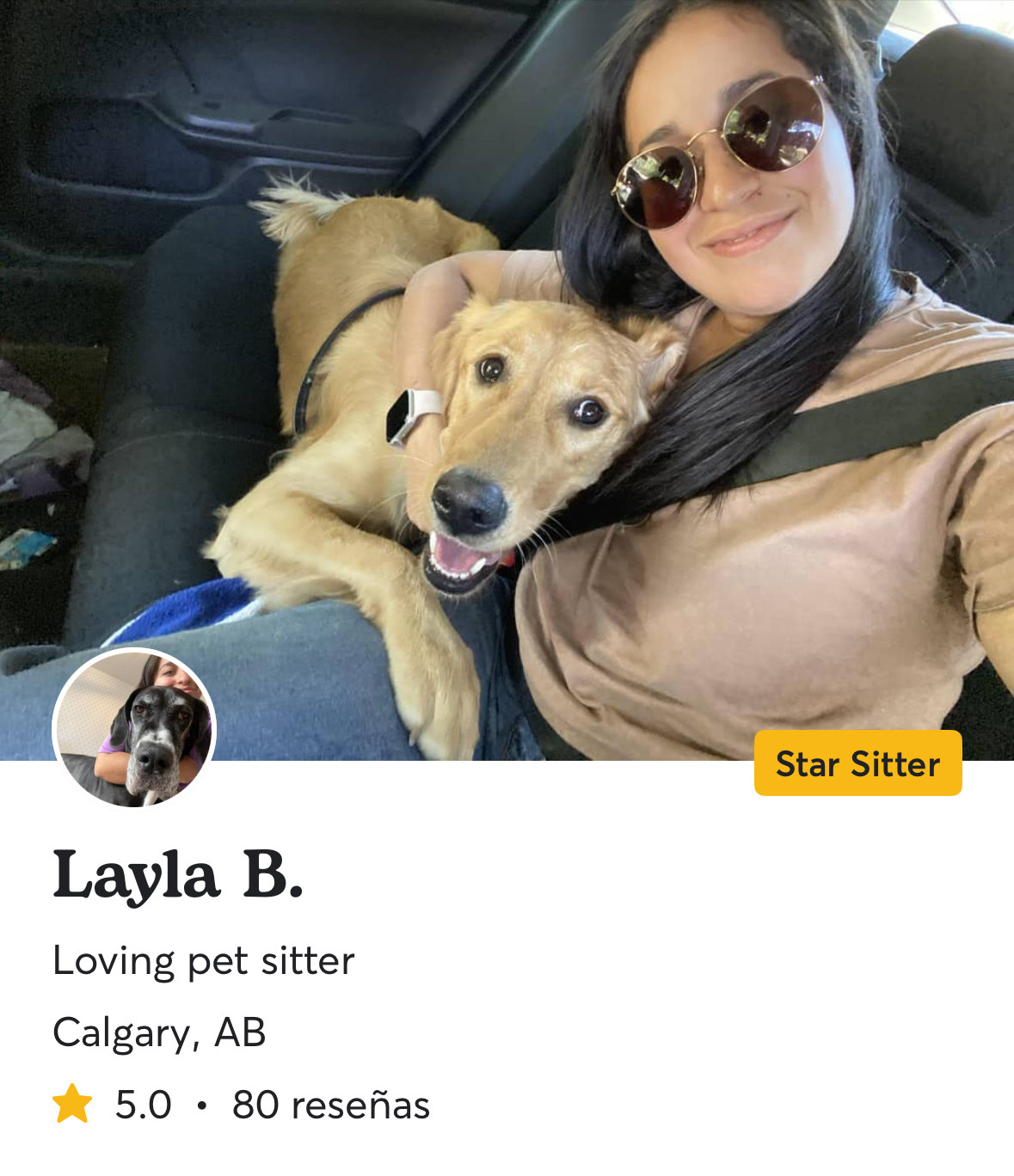 Star Sitter Badge